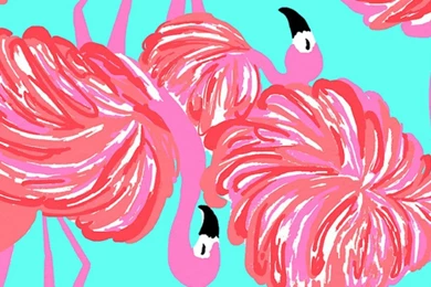 Lilly Pulitzer Iphone 6 Plus Wallpapers