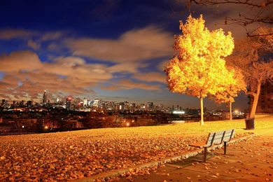 Park Avenue, New York City Wallpaper_other_health Questions ...