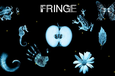 33 TV Desktop Wallpapers ⇔ 815337 Fringe Pic