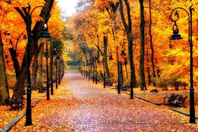 Autumn Wallpapers – AB Wallpapers