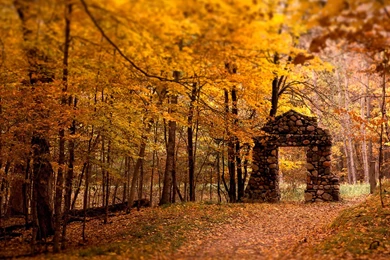 Autumn Hd Wallpapers 3775