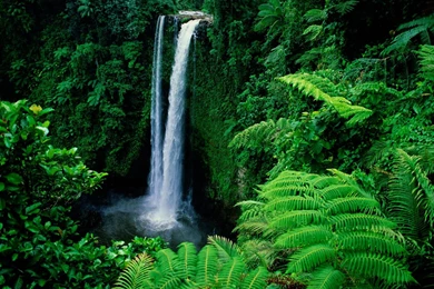 Beautiful Waterfall Hd Wallpapers Nature Wallpapers