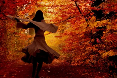 Autumn Backgrounds Wallpapers Desktop