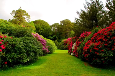 Gardens Wallpaper: Beautiful Rose Garden Wallpapers ...