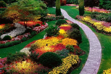 Wallpapers Flowers The Beautiful Garden 1024x768