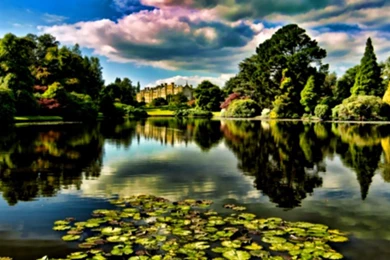 Wallpapers Flowers The Beautiful Garden 1024×768 409781 Gardens ...