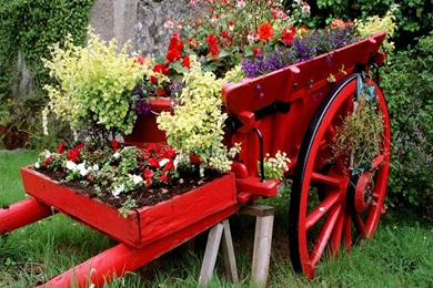 Garden Hd Wallpapers ›› Page 0