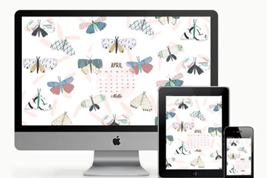 Free Wallpapers Archives   Mollie Makes