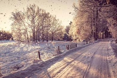 1366x768 Country Road In The Winter Desktop PC And Mac Wallpapers