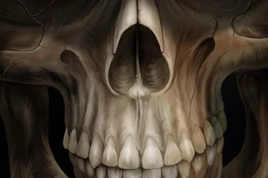 Skull Wallpapers   Android Apps On Google Play