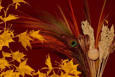 Free Thanksgiving Wallpapers   Wallpapers HD Wide