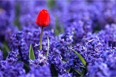 Pretty Women Wallpapers Hd Hq Desktop Wallpapers 2065x1519