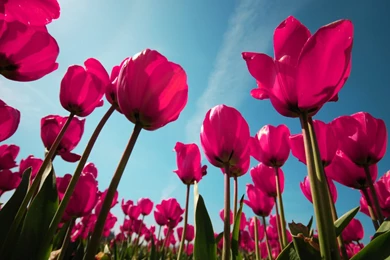 HappyBirthdaySanaya, The Reigning Queen Of The Small Screen!! [NT ...