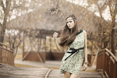 Beauty Vietnamese Model Girl Photo.jpg