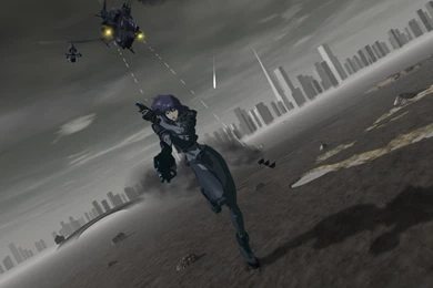 134 Ghost In The Shell HD Wallpapers