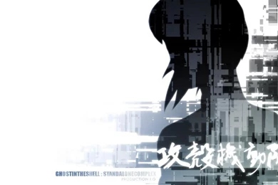 Ghost In The Shell Wallpapers 1024x768   (