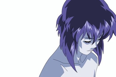 134 Ghost In The Shell HD Wallpapers