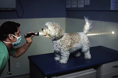 Super Flashlight Examination Wallpapers World Wallpapers Collection