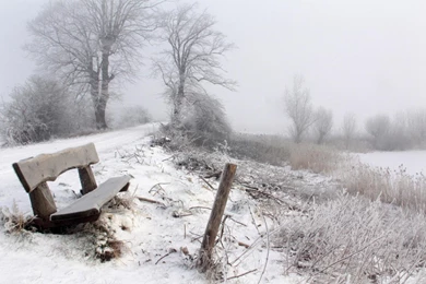 Snow winter beautiful background images free download top quslity new hd wallpapers of winter.jpg