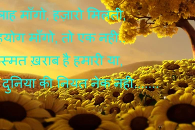 Shayari Hi Shayari: Top 10 Wallpapers Shayari ,Hindi Shayari Image ...