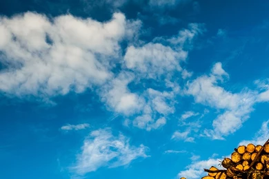 iPhone 6 Wallpapers HD, 100% Quality HD iPhone Wallpapers