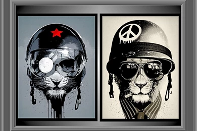 Miscellaneous: Tough Cats, Desktop Wallpapers Nr. 60061 By Jamesh81166