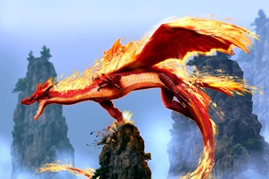 High Resolution Dragon Wallpapers Fire Dragon Photos Of Tough Looks ...