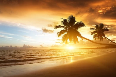 Caribbean Wallpapers