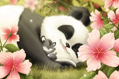 Cute Panda Wallpapers   Wallpapers Cave