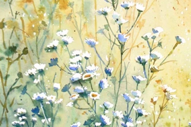 iPhone 5 Wallpapers   Wildflowers 2