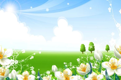 San Francisco Wildflowers Wallpaper_other_health Questions ...