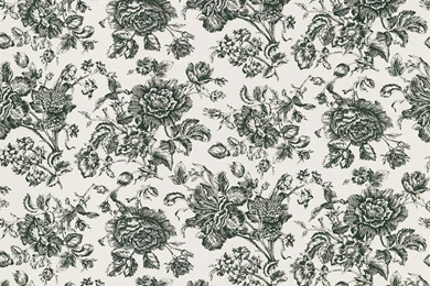 Pavot Floral Toile Wallpapers In Cream By Brewster Home Fashions ...