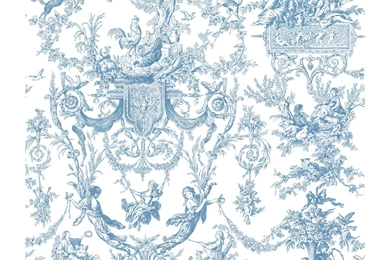 Amazon.com: York Wallcoverings AT4241 Ashford Toiles Old World ...