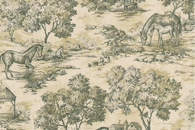 Appaloosa Black Horse Toile Wallpapers Sample