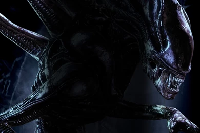 Wallpapers Alien World Xenomorph H R Giger Weyland 1366x768 ...
