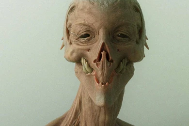 Hey Hr Sup Need High Res Boxxy Pics Please Unrelated Wallpapers ...