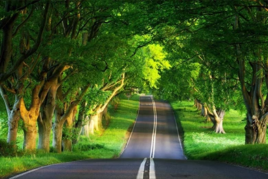 Hd Nature Photography Desktop Wallpapers