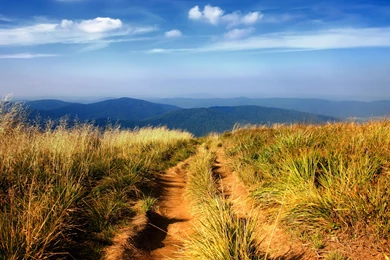 3D Nature Wallpapers   Windows 10 Wallpapers