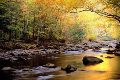 Hd Nature Wallpapers Collection (41+)