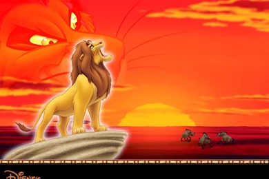 Lion King Wallpapers