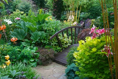 218 Garden HD Wallpapers