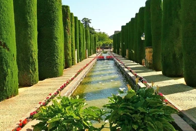 Beautiful Garden Wallpapers (16 Photos)