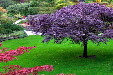 Spring Garden Bench Wallpapers Pictures Photos Images