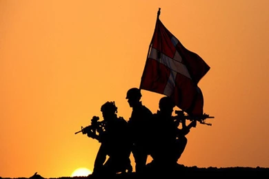 Danish Soldiers Wallpapers   1024x768   139328