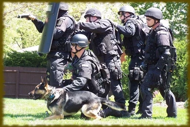 Law Enforcement Wallpapers   Android Apps On Google Play