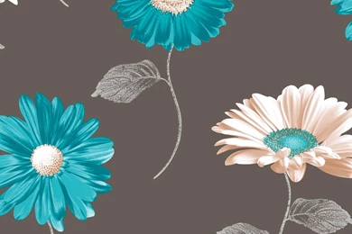 Teal Wallpapers 15   Best Wallpapers Collection