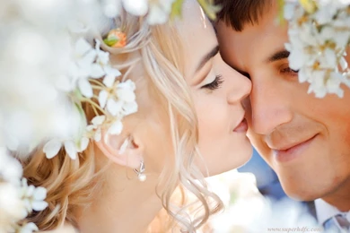 Honeymoon Couples Hd Desktop Wallpapers   SUPERHDFX