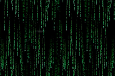 Matrix Animated Wallpapers Windows 8