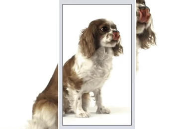 Live Wallpapers For iPhone 6s & 6s Plus   Make Your Screen Live ...