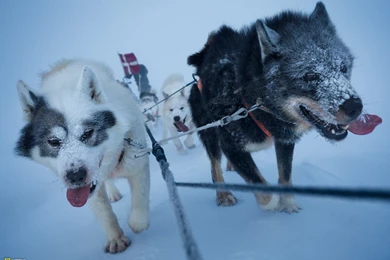Photography Desktop Wallpapers National Geographic Magazine